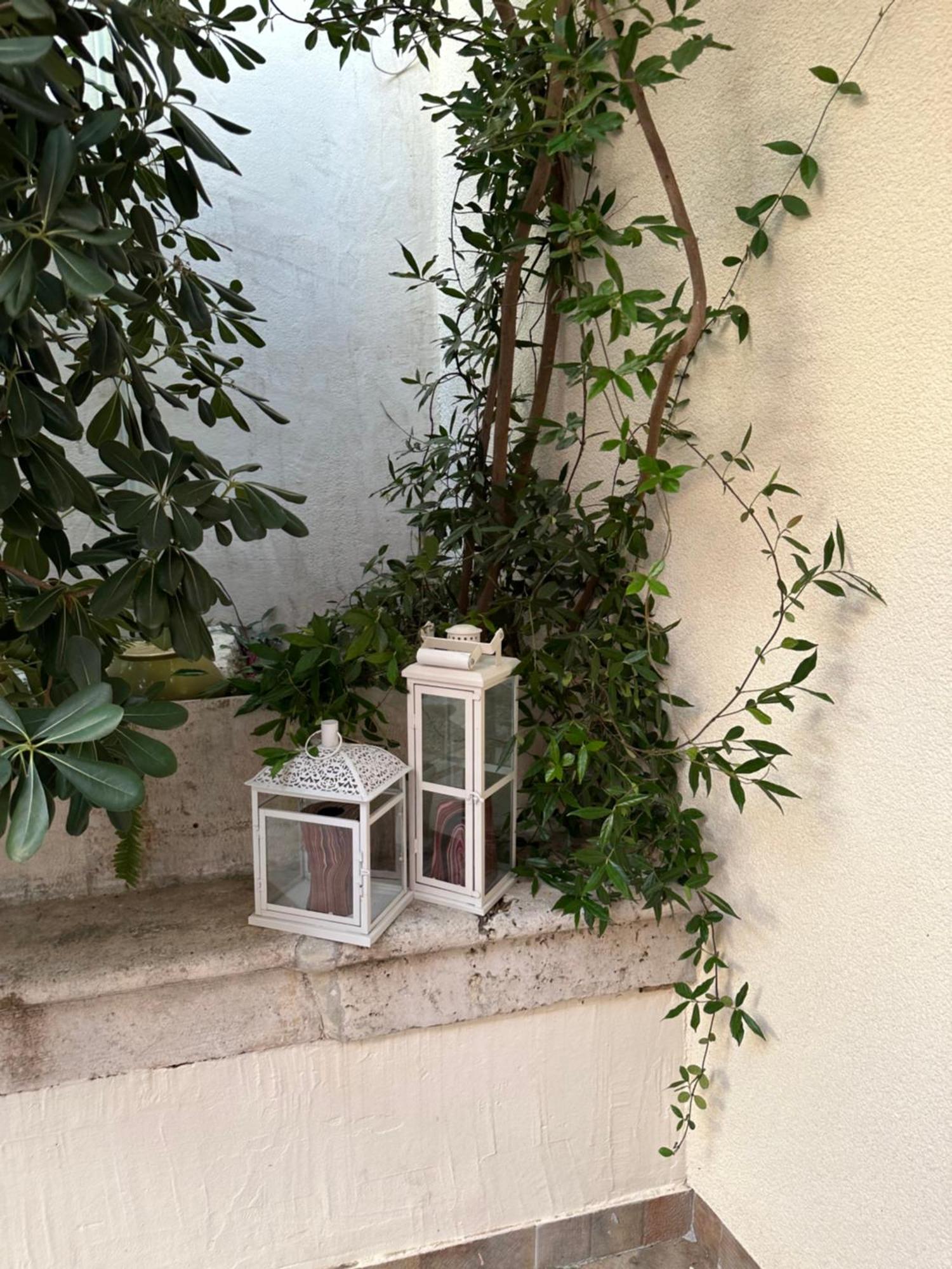 Apartment Banovac 2 Dubrovnik Exteriör bild